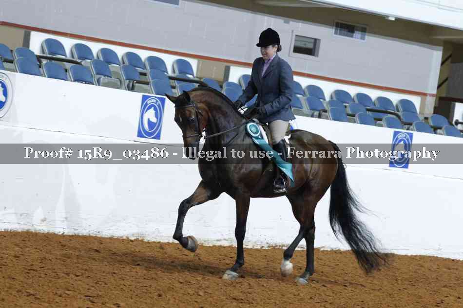 Proof 15R9_03486