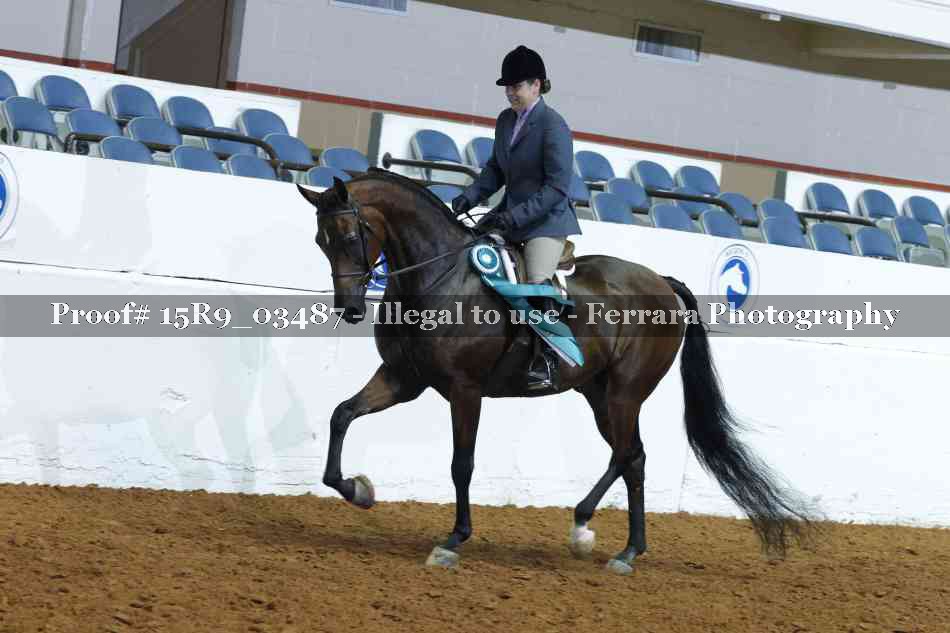 Proof 15R9_03487