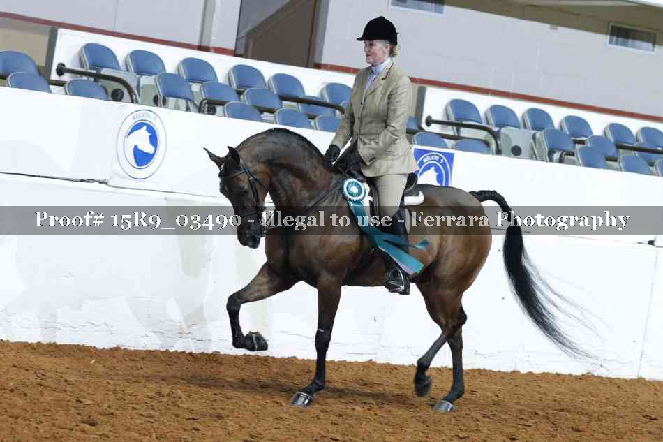 Proof 15R9_03490