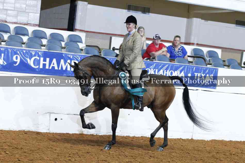 Proof 15R9_03491