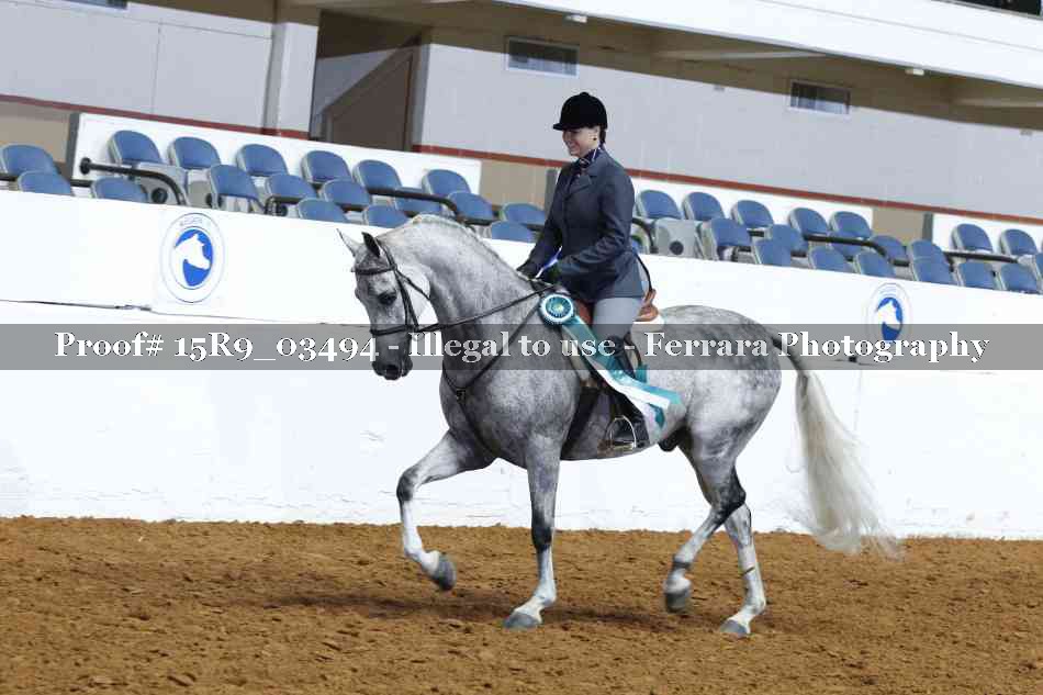 Proof 15R9_03494