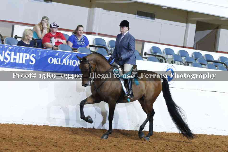 Proof 15R9_03497