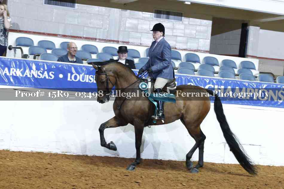 Proof 15R9_03498