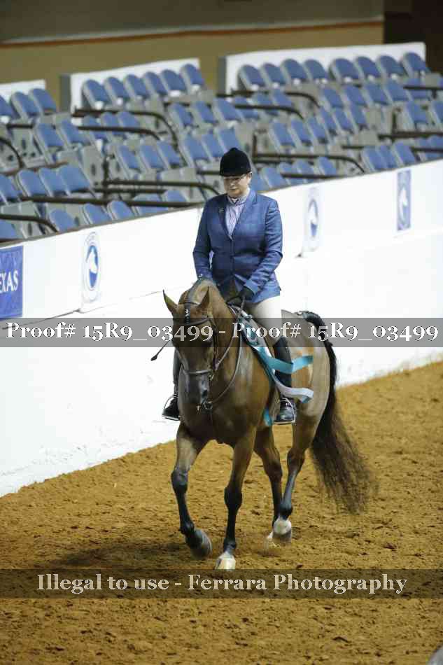 Proof 15R9_03499