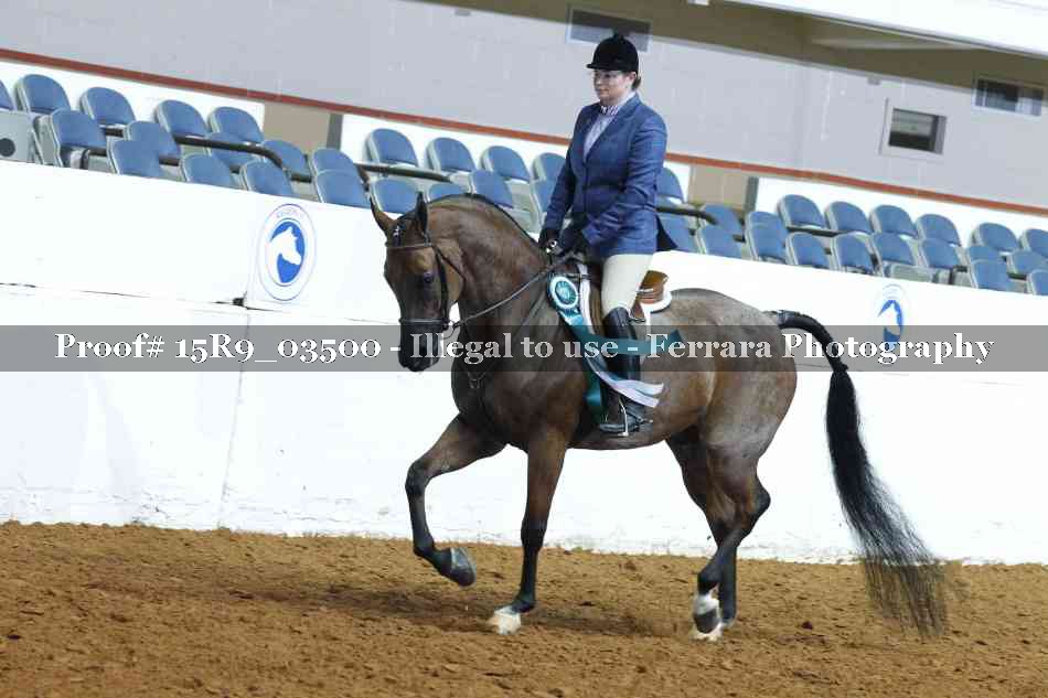 Proof 15R9_03500
