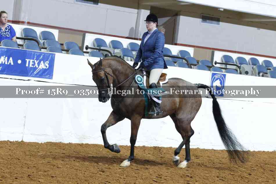 Proof 15R9_03501