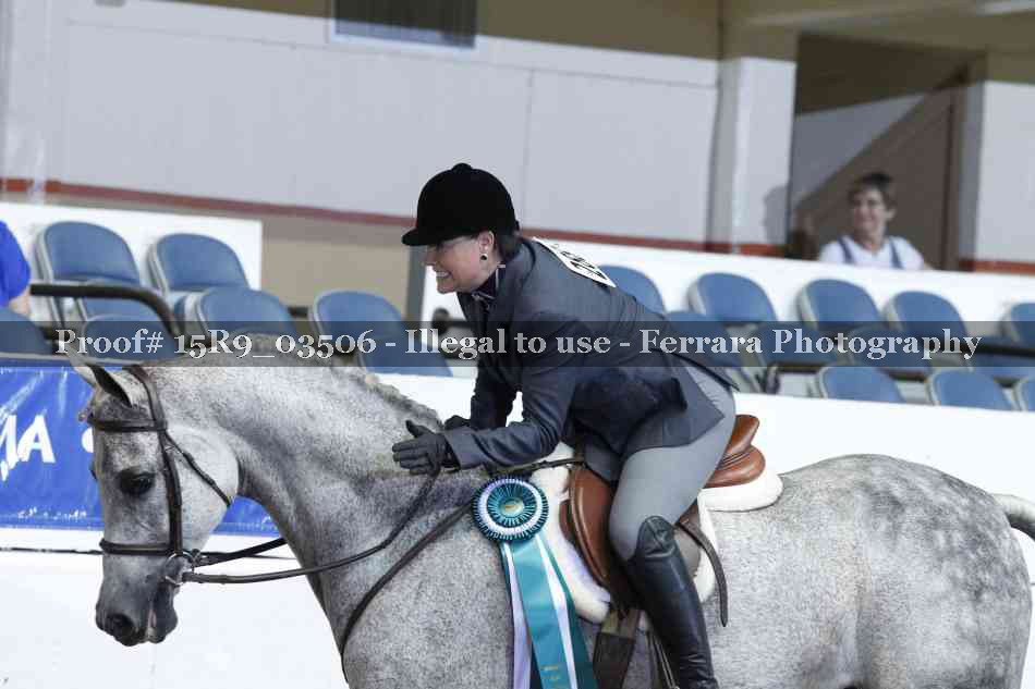 Proof 15R9_03506