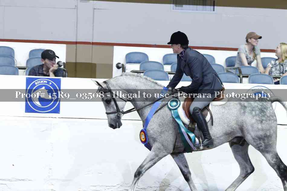 Proof 15R9_03508