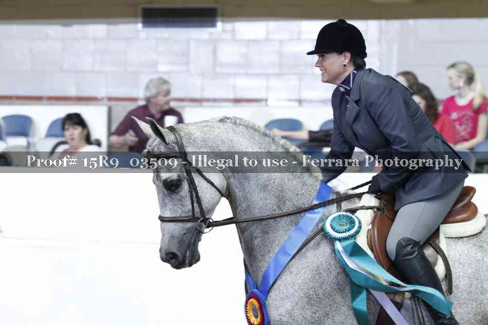 Proof 15R9_03509