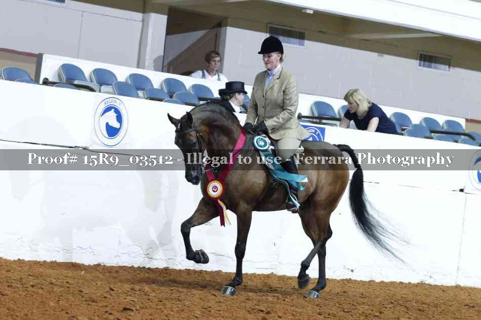 Proof 15R9_03512