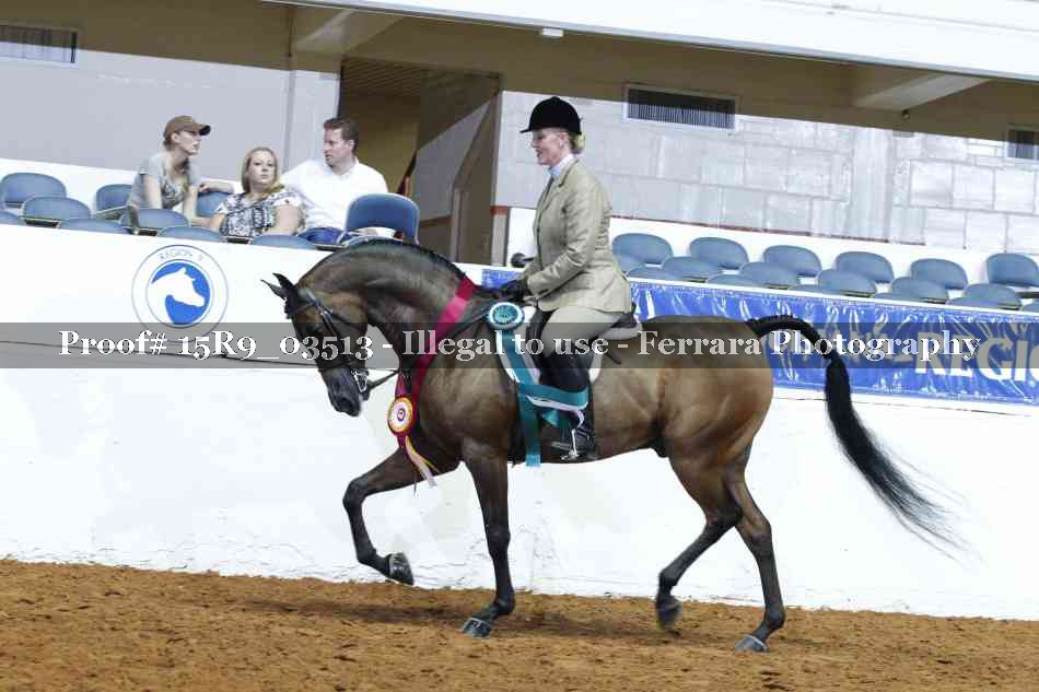 Proof 15R9_03513