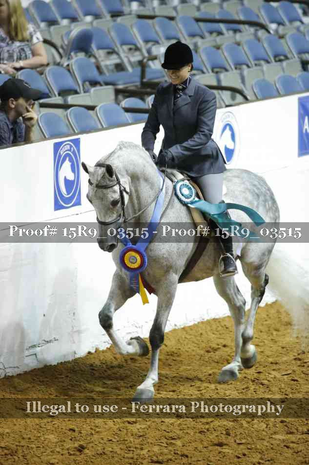 Proof 15R9_03515