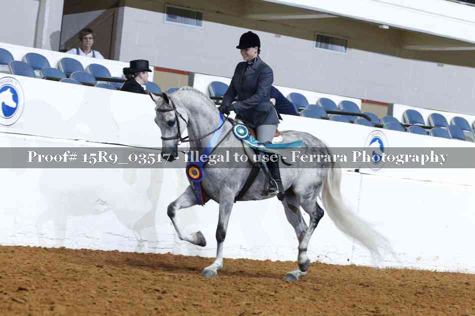 Proof 15R9_03517
