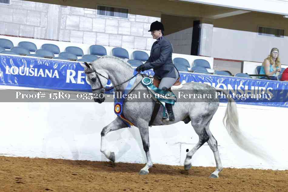 Proof 15R9_03520