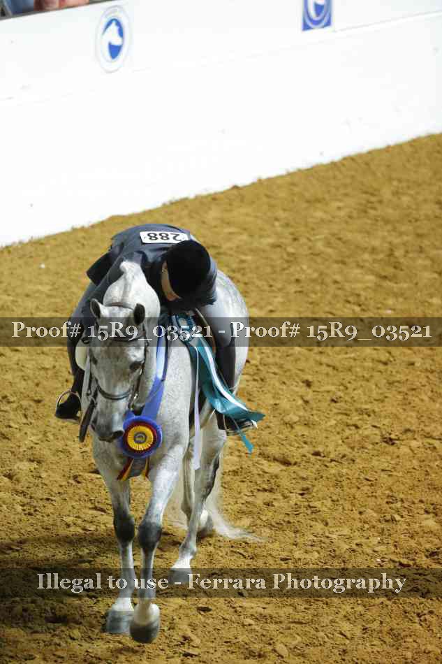 Proof 15R9_03521