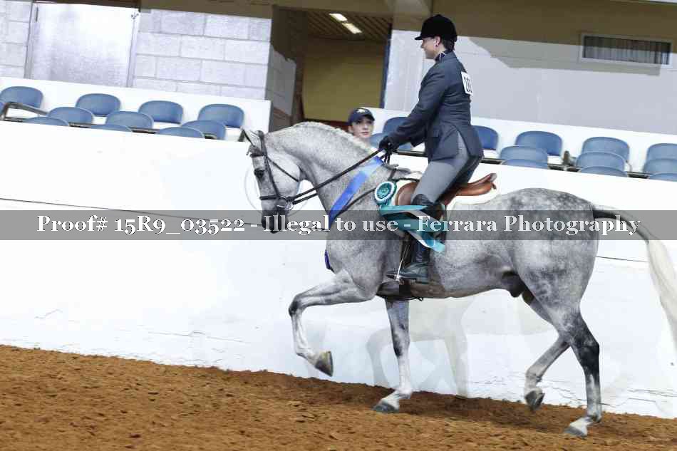 Proof 15R9_03522
