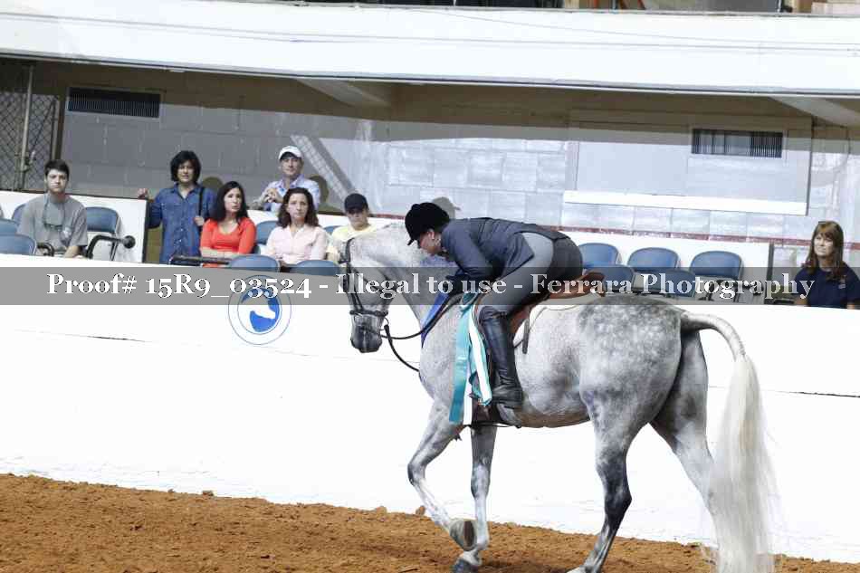 Proof 15R9_03524