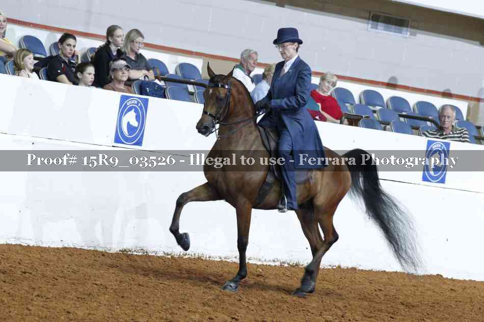 Proof 15R9_03526