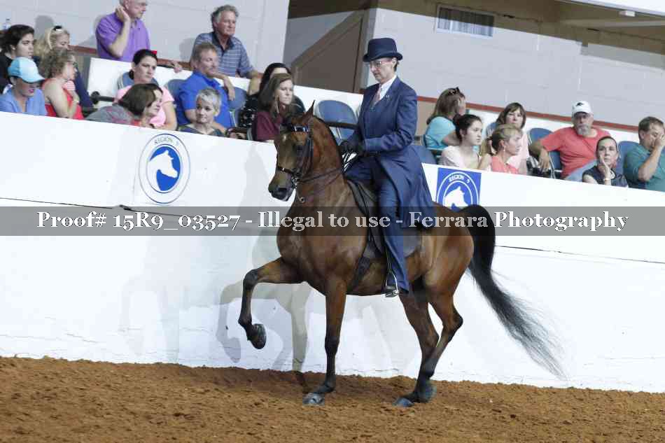 Proof 15R9_03527