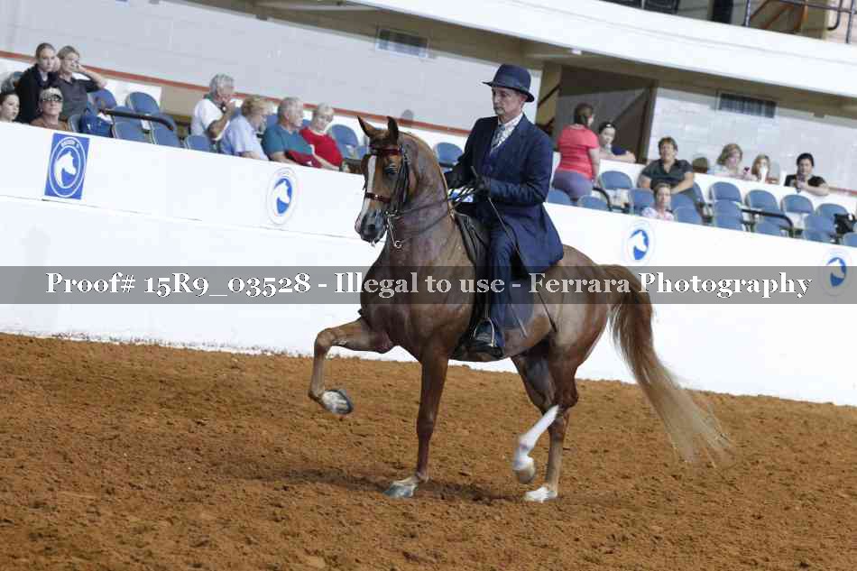 Proof 15R9_03528