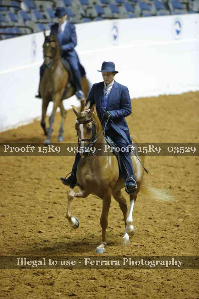 Proof 15R9_03529