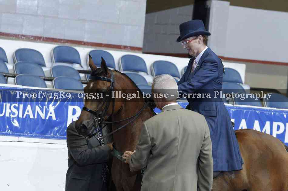 Proof 15R9_03531