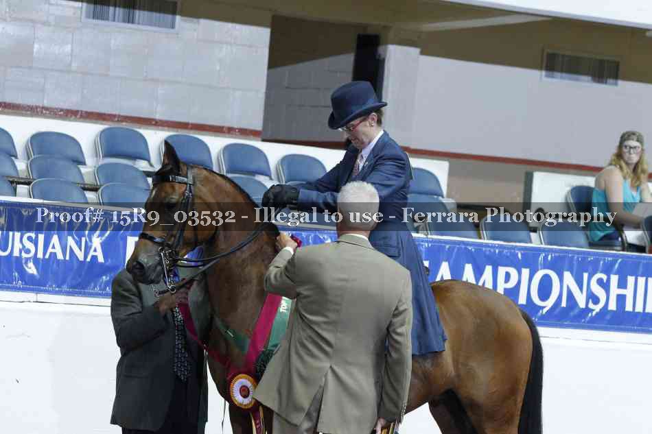 Proof 15R9_03532