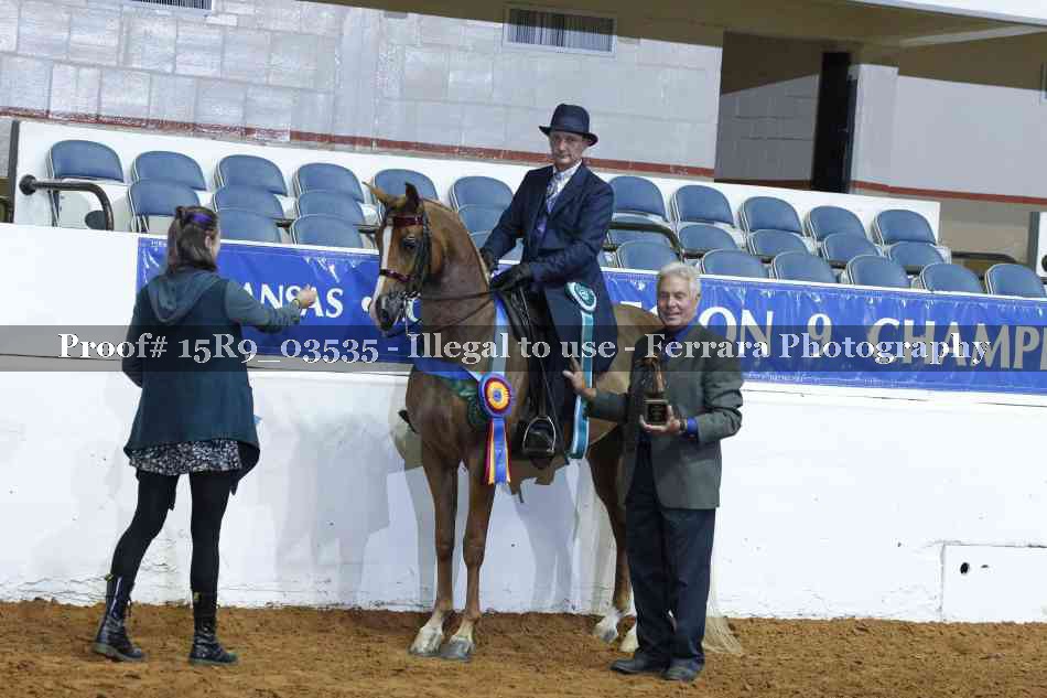 Proof 15R9_03535