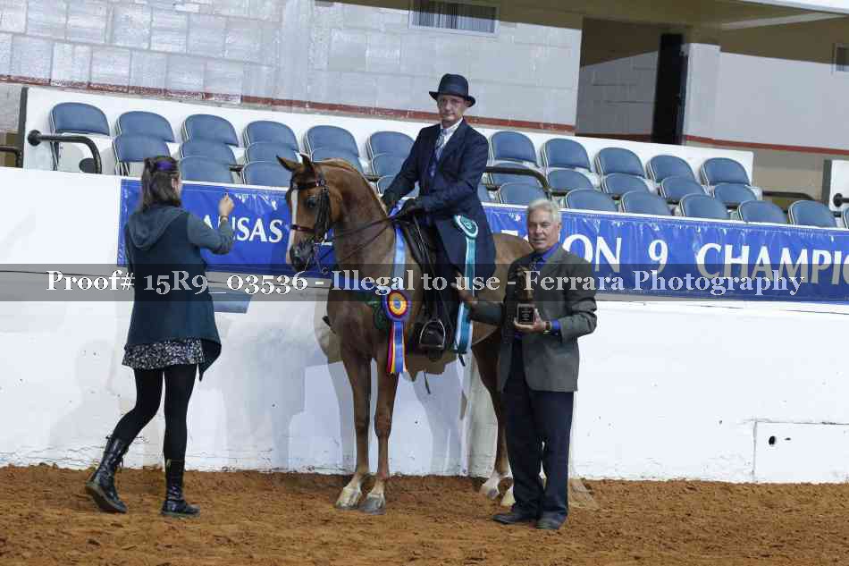 Proof 15R9_03536