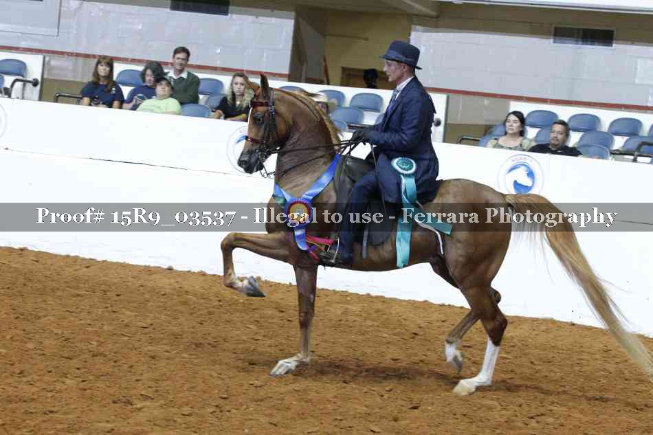 Proof 15R9_03537