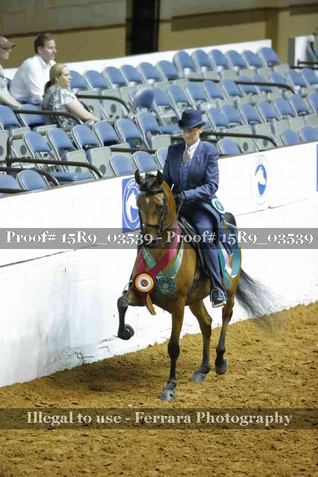 Proof 15R9_03539