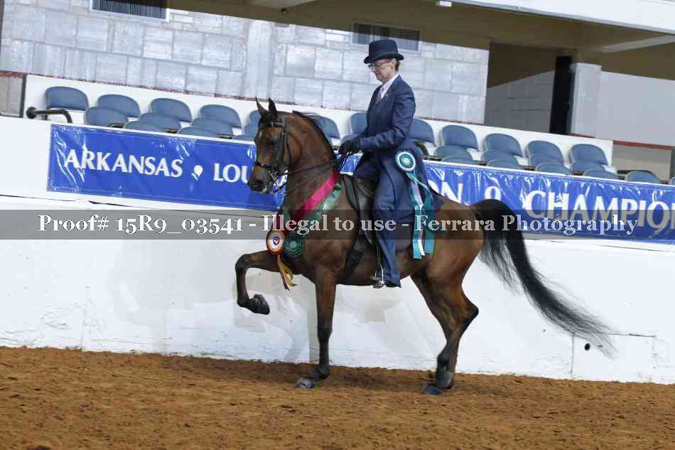 Proof 15R9_03541
