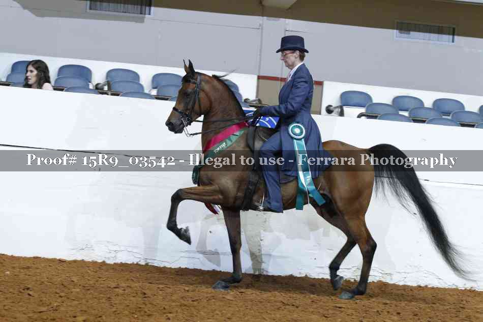 Proof 15R9_03542
