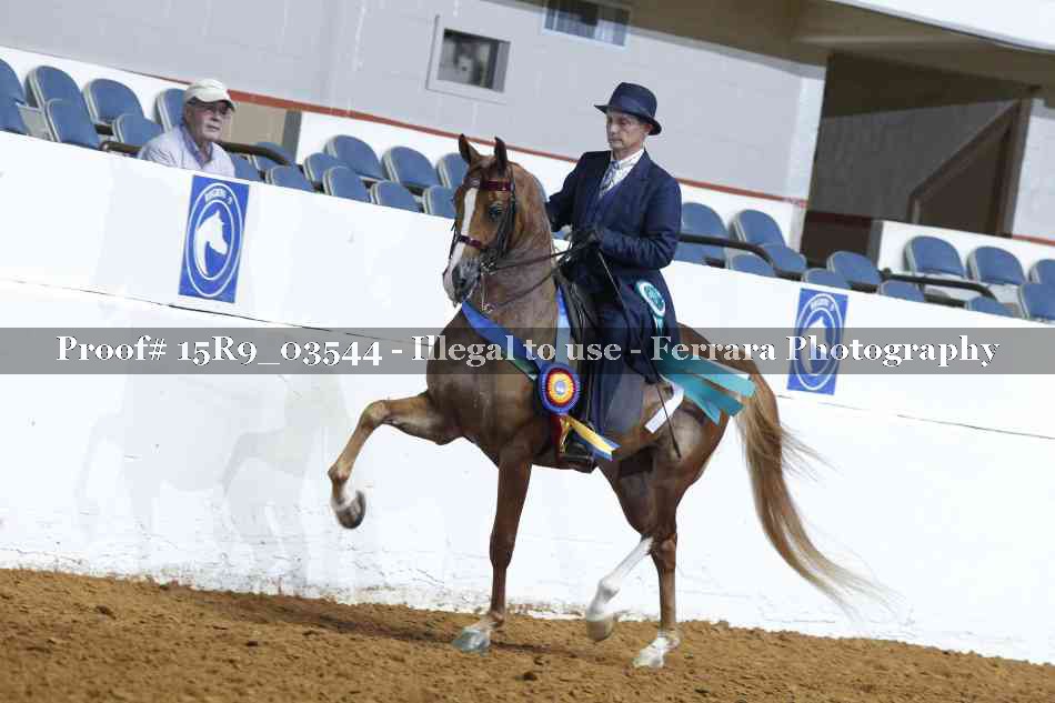 Proof 15R9_03544