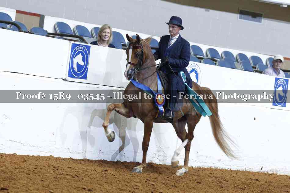 Proof 15R9_03545