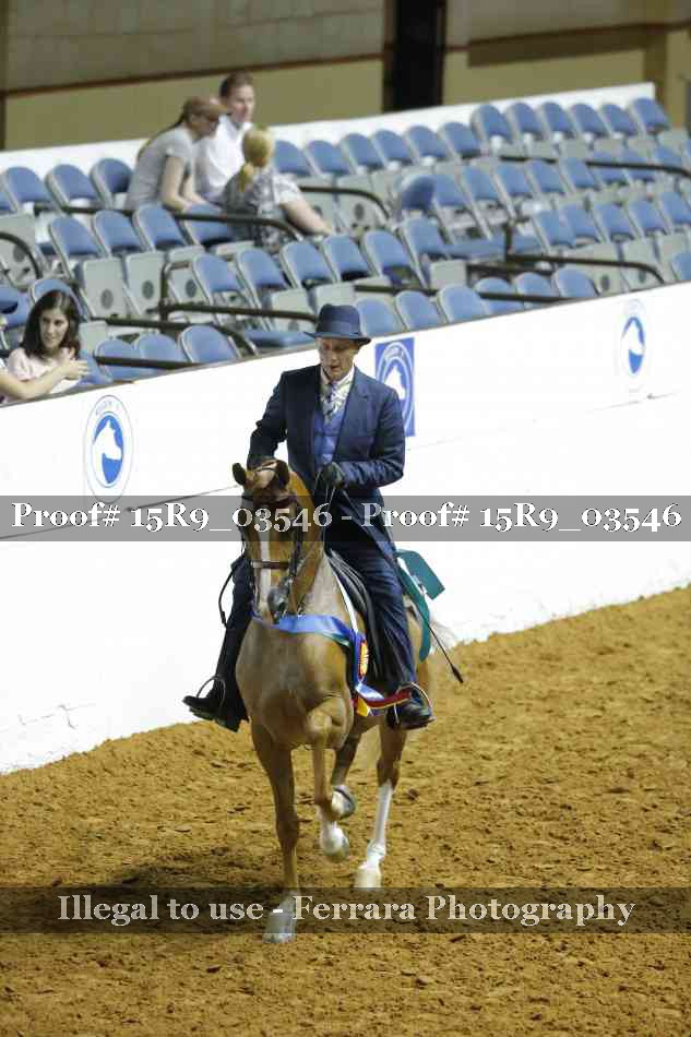 Proof 15R9_03546