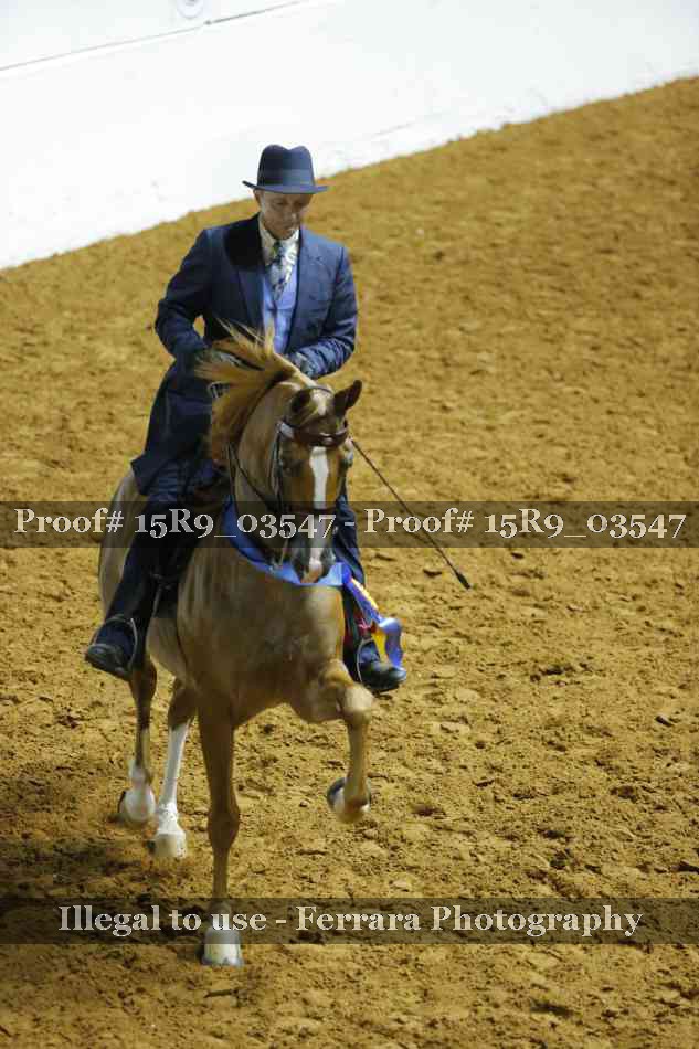 Proof 15R9_03547