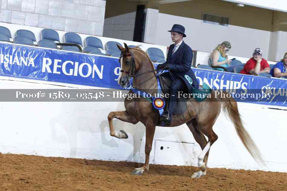 Proof 15R9_03548