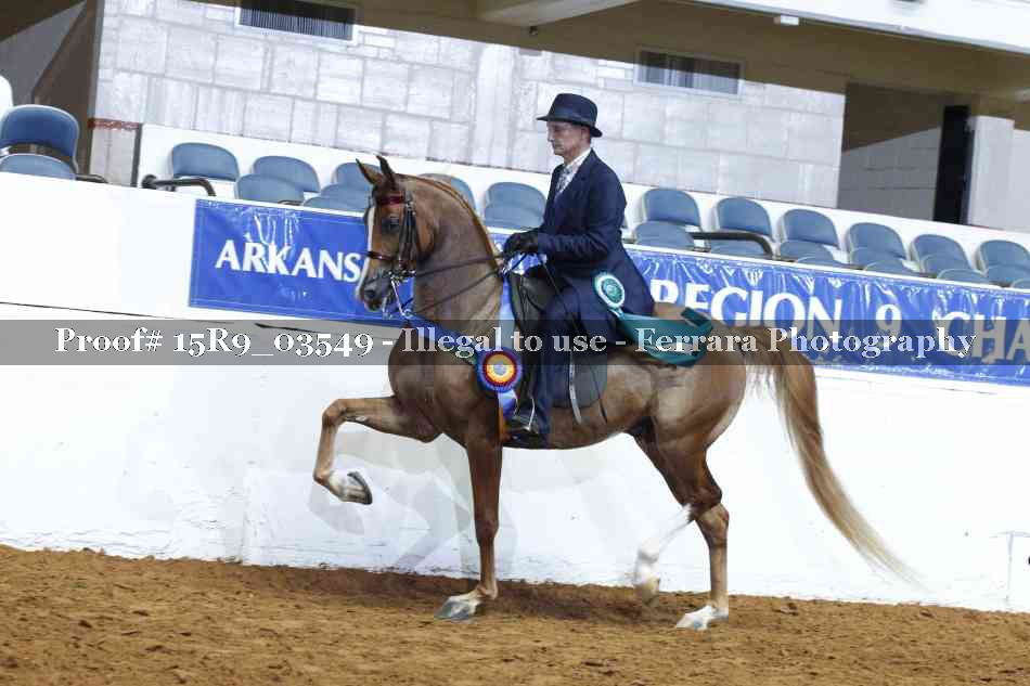 Proof 15R9_03549