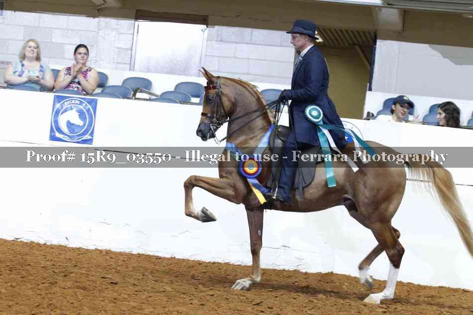 Proof 15R9_03550