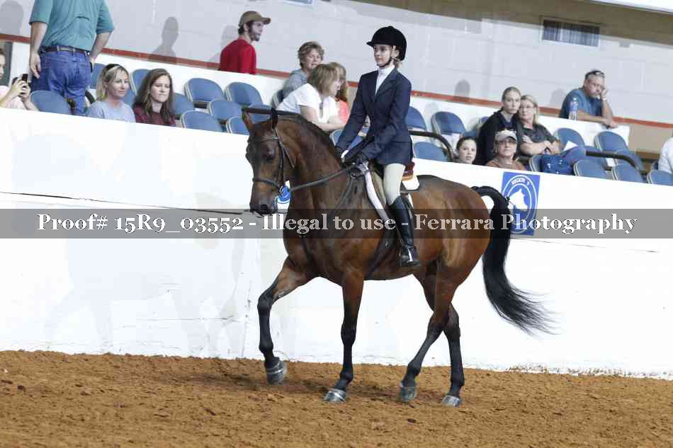 Proof 15R9_03552