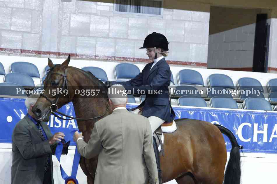 Proof 15R9_03557