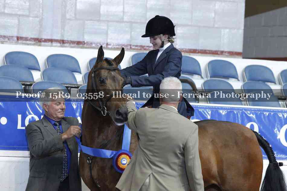 Proof 15R9_03558