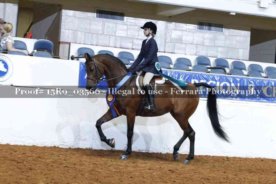 Proof 15R9_03566