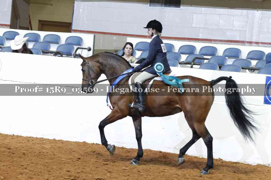 Proof 15R9_03569