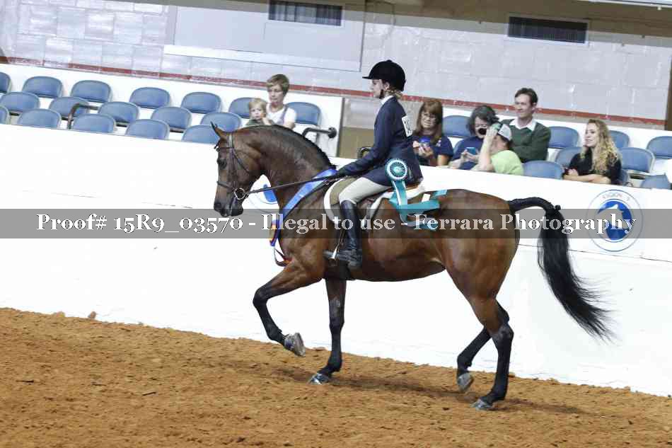 Proof 15R9_03570