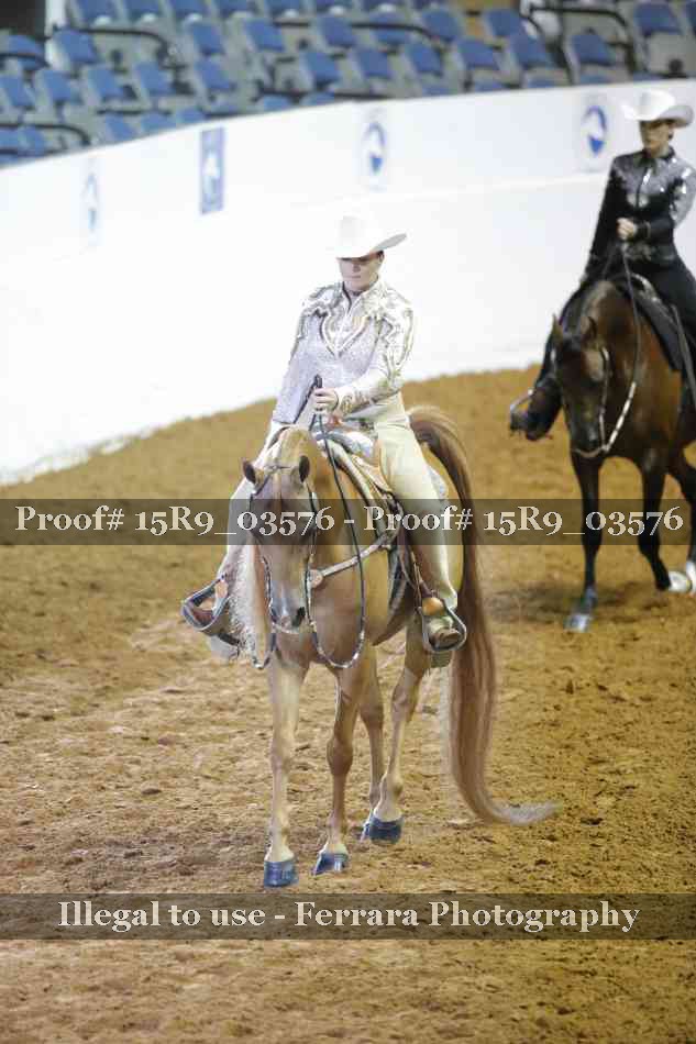 Proof 15R9_03576