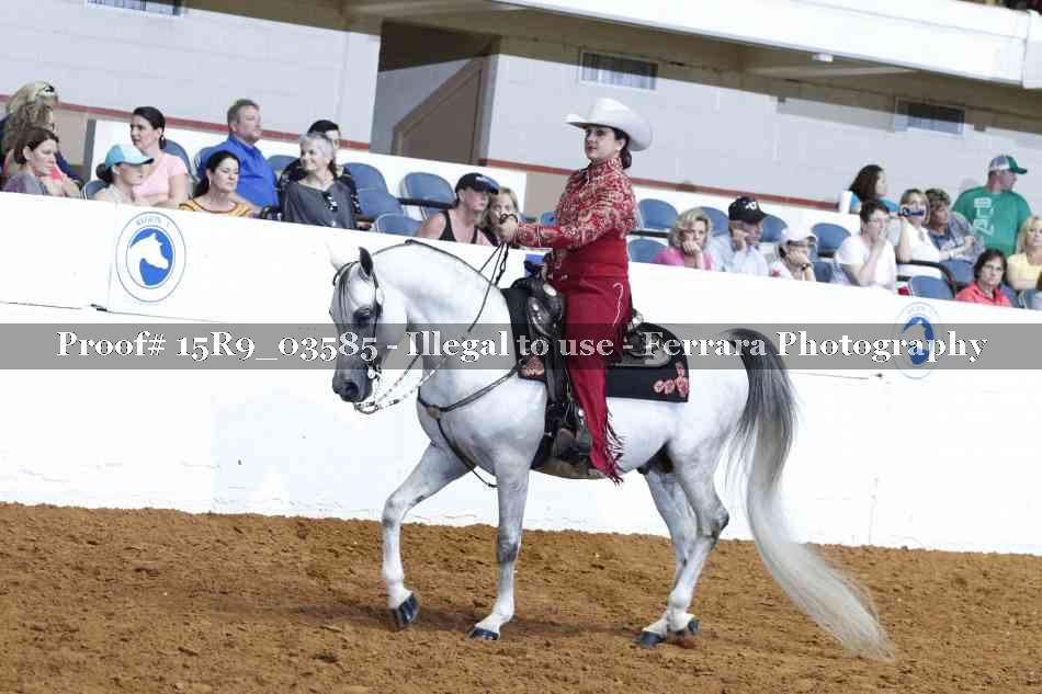 Proof 15R9_03585