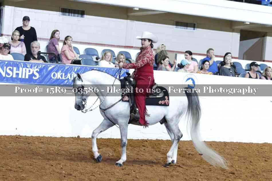 Proof 15R9_03586