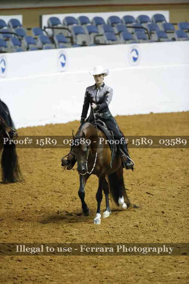 Proof 15R9_03589